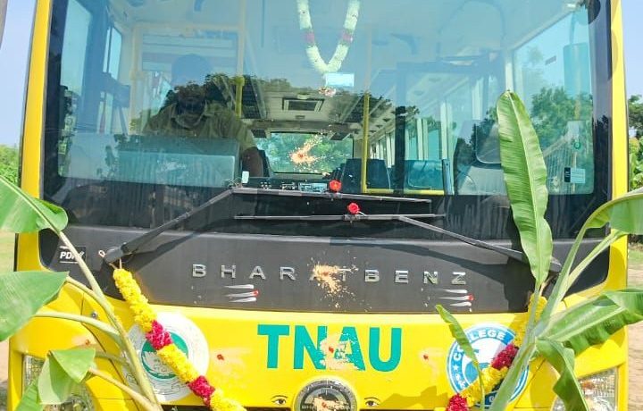 bus