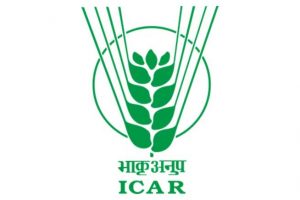 icar logo