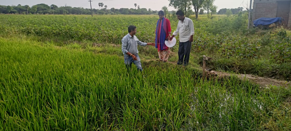 Farmer Advisory Services – Krishi Vigyan Kendras – Thiruvarur