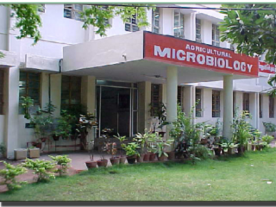 8. Microbiology