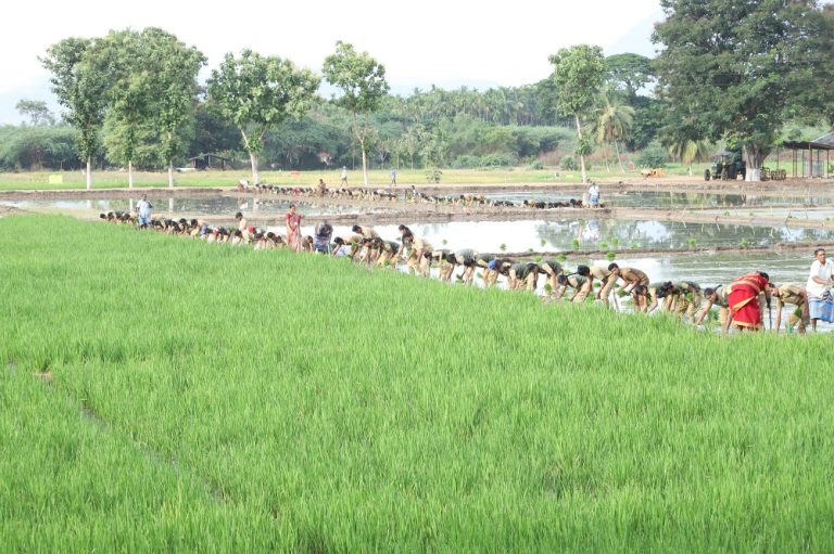 B Sc Hons Agriculture Tamil Nadu Agricultural University