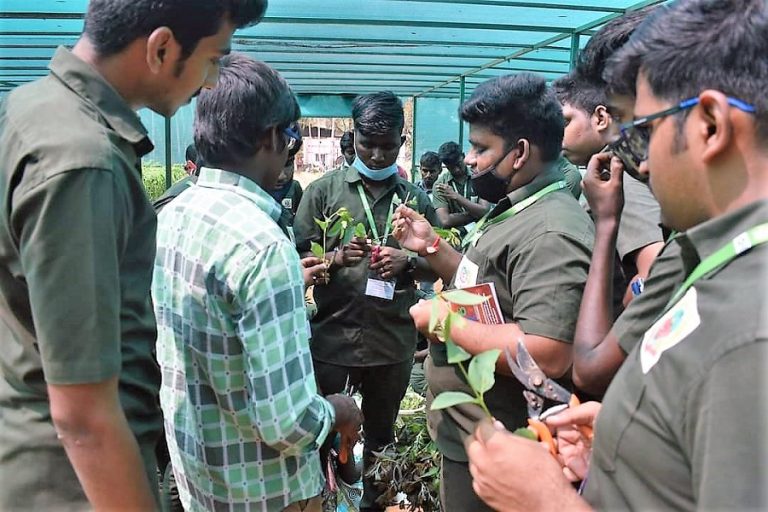 B.Sc. (Hons.) Forestry – Tamil Nadu Agricultural University